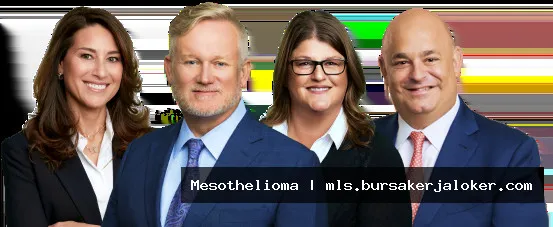 Here are some options: Mesothelioma asbestos lawsuit compensation. Filing a mesothelioma asbestos lawsuit. Understanding mesothelioma asbestos lawsuit claims. Mesothelioma asbestos lawsuit information guide.