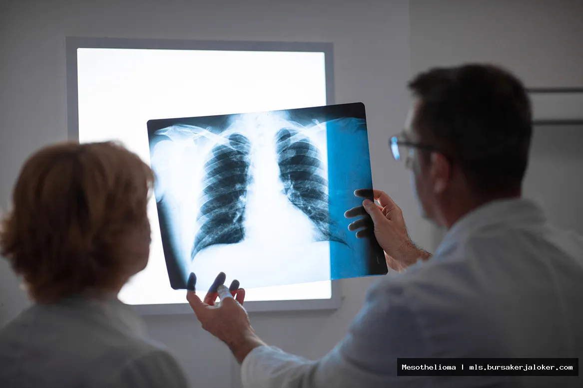 Mesothelioma doctor consulting with patient.