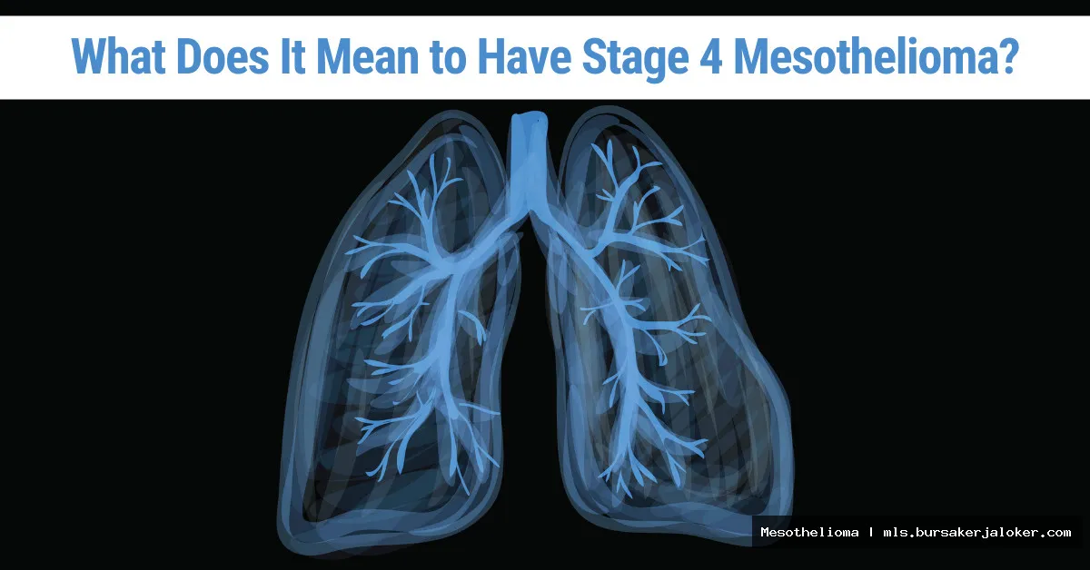 Mesothelioma life expectancy without treatment.