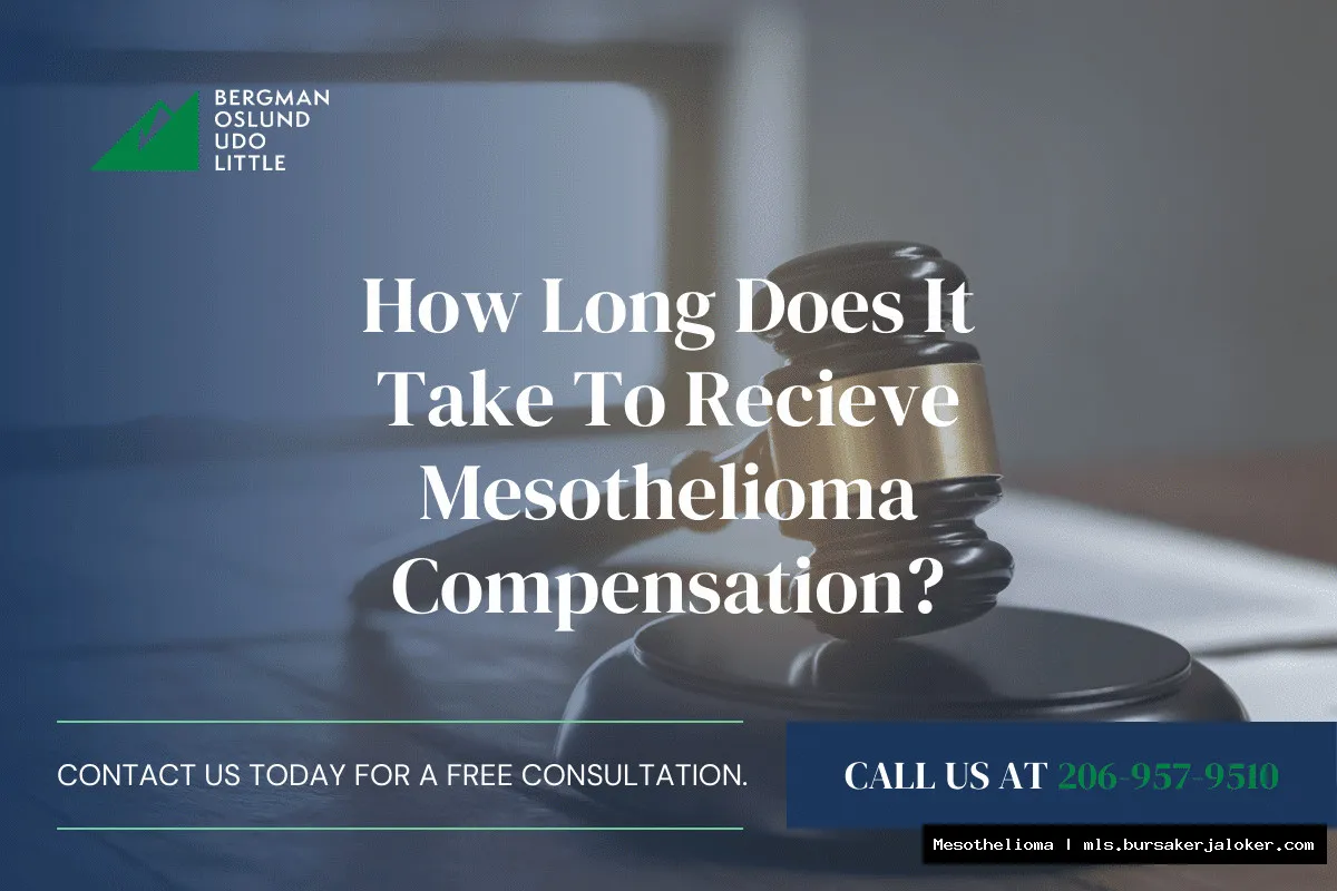 Mesothelioma payouts: financial compensation options.