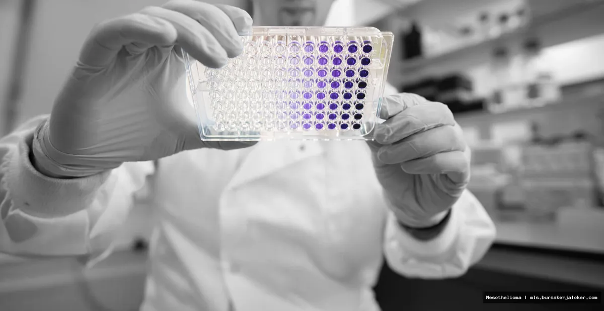 Mesothelioma research: Scientists in lab.