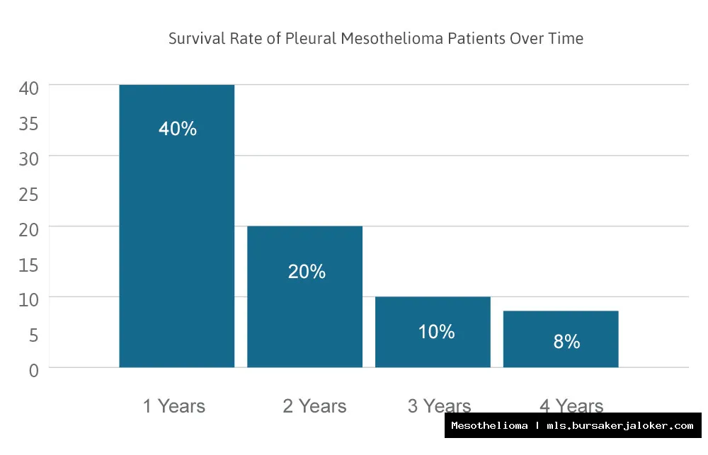 Mesothelioma survival rate information graphic